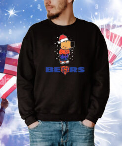 Just a Chill Guy Chicago Bears football Christmas T-Shirt