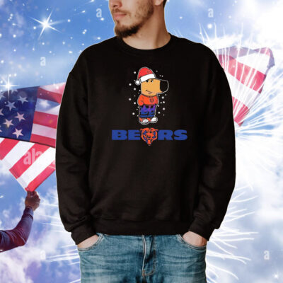 Just a Chill Guy Chicago Bears football Christmas T-Shirt