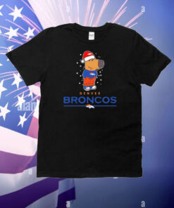 Just a Chill Guy Denver Broncos football Christmas T-Shirt