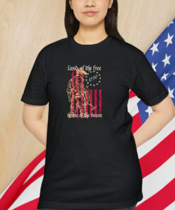 Land Of The Free Home Of The Brave 1776 America Flag Shirt