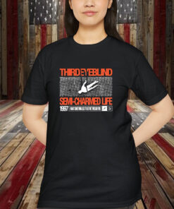 Third Eye Blind Semi Charmed Life Self Titled I Want Something Else To Get Me Though This 1997 Shirt