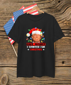 Trump Light Santa Got What I Wanted For Christmas Shirt