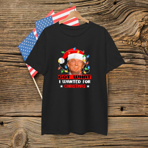 Trump Light Santa Got What I Wanted For Christmas Shirt