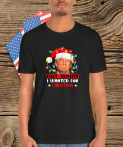 Trump Light Santa Got What I Wanted For Christmas Shirt