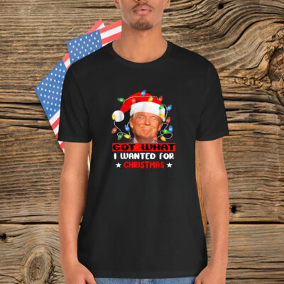 Trump Light Santa Got What I Wanted For Christmas Shirt