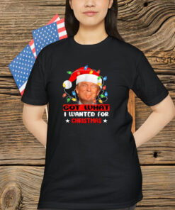 Trump Light Santa Got What I Wanted For Christmas Shirt