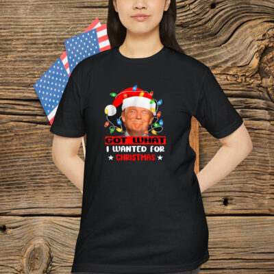 Trump Light Santa Got What I Wanted For Christmas Shirt