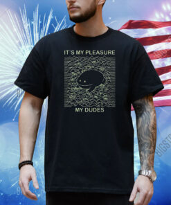 It’s My Pleasure My Dudes Frog Pleasures Shirt