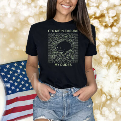 It’s My Pleasure My Dudes Frog Pleasures Shirt