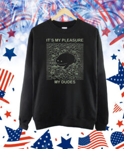 It’s My Pleasure My Dudes Frog Pleasures Shirt