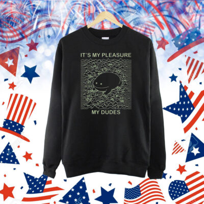 It’s My Pleasure My Dudes Frog Pleasures Shirt