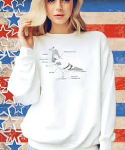 Bird Diagram Camera Wireless Antenna Microphone Speaker CPU Battery Inductive Charging Coil Shirt