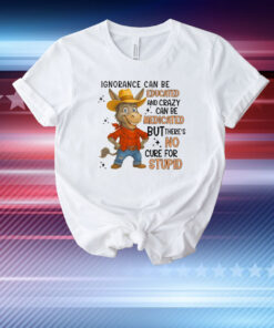 Ignorance Can Be Educated And Crazy Can Be Medicated But There’s No Cure For Stupid T-Shirt