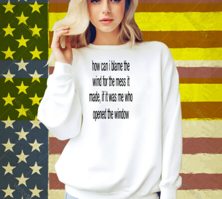 Limted How Can I Blame The Wind For The Mess It Made Shirt