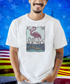 Primus Sessanta V2.0 Tampa Fl May 8 2025 Midflorida Credit Union Amphitheatre Flamingo Shirt