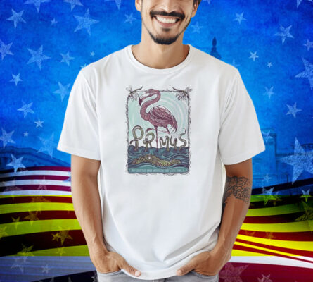 Primus Sessanta V2.0 Tampa Fl May 8 2025 Midflorida Credit Union Amphitheatre Flamingo Shirt