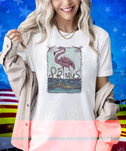 Primus Sessanta V2.0 Tampa Fl May 8 2025 Midflorida Credit Union Amphitheatre Flamingo Shirt