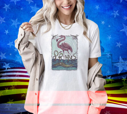 Primus Sessanta V2.0 Tampa Fl May 8 2025 Midflorida Credit Union Amphitheatre Flamingo Shirt