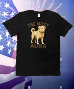 The Most Aura Charles The King Of Dogs T-Shirt