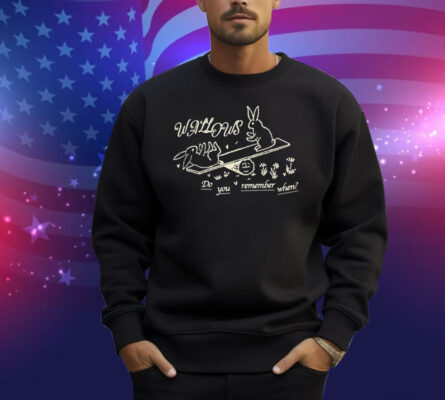 Wallows Do You Remember When Bunny Shirt