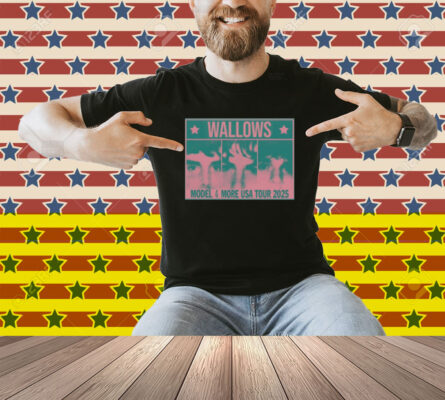 Wallows Info Wallows Model & More Usa Tour 2025 Shirt