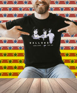 Wallows Model & More Tour 2025 Shirt