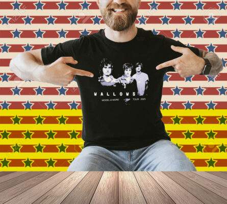 Wallows Model & More Tour 2025 Shirt