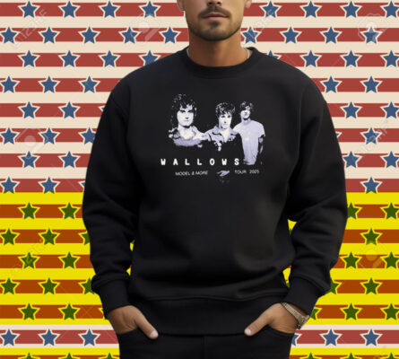Wallows Model & More Tour 2025 Shirt