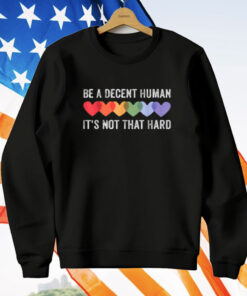 Be A Decent Human It's Not That Hard Funny LGBT Heart T-Shirt