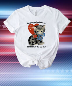 Everything You Heard About Me Is True Especially The Gay Stuff T-Shirt