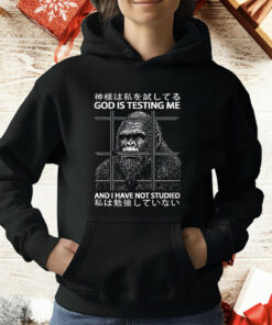Gorilla God Is Testing Me And I Have Not Studies T-Shirt