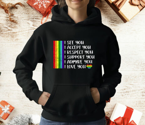 I See Love Accept You LGBTQ Men Women Gay Rainbow Pride T-Shirt