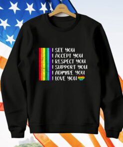 I See Love Accept You LGBTQ Men Women Gay Rainbow Pride T-Shirt