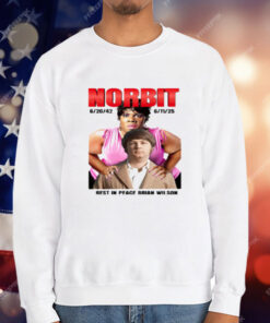 Norbit Rest In Peace Brian Wilson T-Shirt