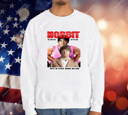 Norbit Rest In Peace Brian Wilson T-Shirt