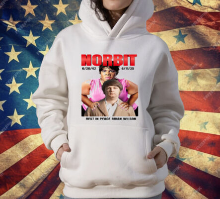 Norbit Rest In Peace Brian Wilson T-Shirt