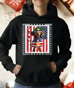 Patriotic Dachshund American Flag 4th Of July T-Shirt