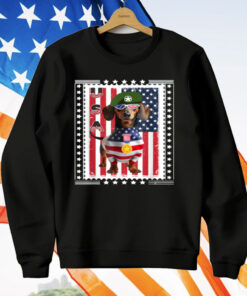Patriotic Dachshund American Flag 4th Of July T-Shirt