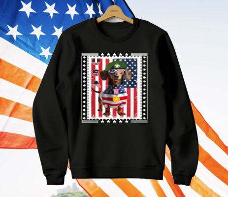 Patriotic Dachshund American Flag 4th Of July T-Shirt