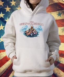 Trump The Gulf Of America Est 2025 Premium T-Shirt