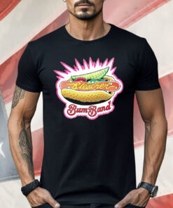 Chicago Bleacher Bum Band Shirt
