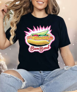 Chicago Bleacher Bum Band Shirt