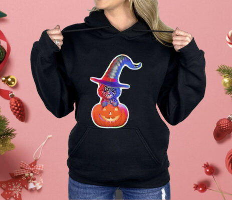 Cute Black Cat With Witch Hat In Pumpkin Shirt