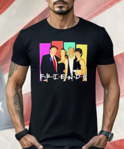 Donald Trump And Epstein Friends Parody Shirt