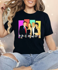 Donald Trump And Epstein Friends Parody Shirt