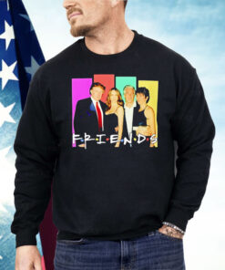 Donald Trump And Epstein Friends Parody Shirt