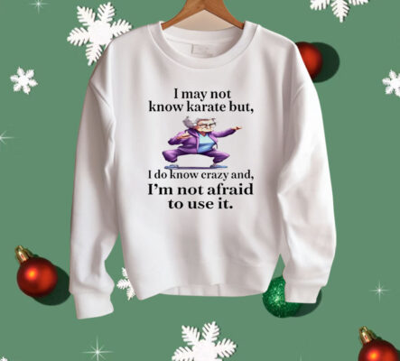 I May Not Know Karate But I Do Know Crazy Shirt