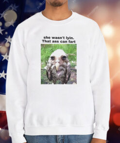 She Wasn’t Lyin That Ass Can Fart T-Shirt