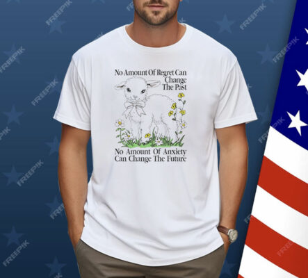 Sheep No Amount Of Regret Changes The Past Shirt