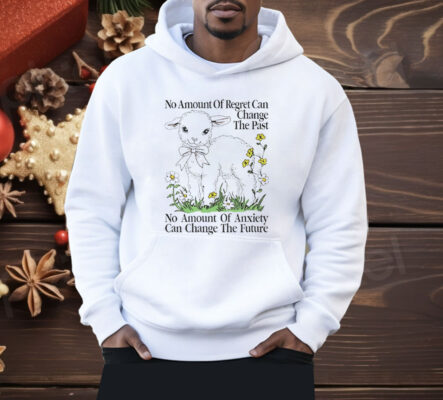 Sheep No Amount Of Regret Changes The Past Shirt